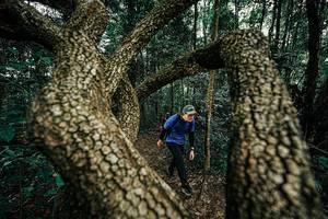 BIB: 
                            <button type="button" onclick="openModal(25393082)" class="btn btn-primary btn-sm float-right btn-popup" data-toggle="modal" data-target=".modal-high-quality">
                        <i class="fas fa-shopping-cart"></i> Add to Cart
                    </button>
                                            <button type="button" onclick="isThisMe(25393082, true)" class="btn btn-success btn-sm float-right btn-popup btn-isme hidden" data-toggle="tooltip" data-placement="bottom" title="นี่คือรูปของคุณใช่ไหม คลิกที่นี่เพื่อเอาเข้าอัลบั้ม">
                        <i class="fas fa-plus"></i> Add to album
                    </button>
                    <button type="button" onclick="isThisMe(25393082, false)" class="btn btn-warning btn-sm float-right btn-popup btn-isnotme hidden">
                        <i class="fas fa-ban"></i> Remove from album
                    </button>